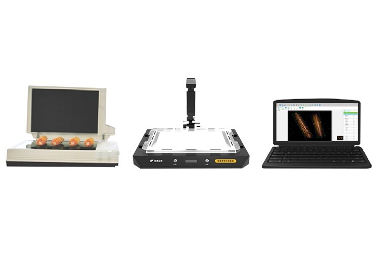 全項(xiàng)目智能考種分析系統(tǒng)