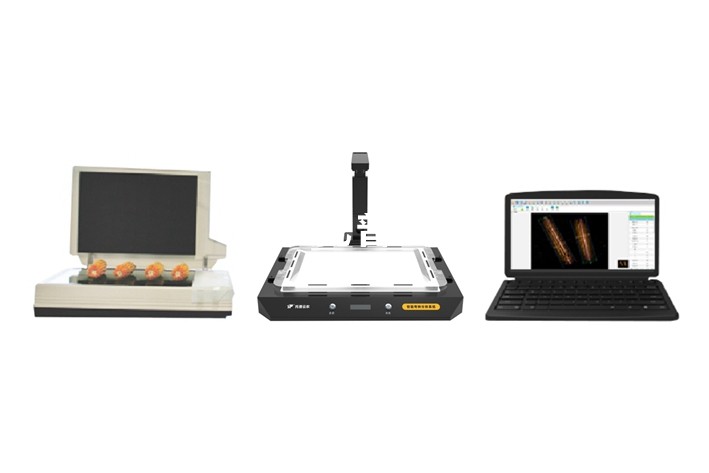 智能考種分析系統(tǒng) TPKZ-3