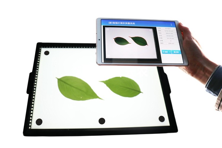 智能葉面積測(cè)量系統(tǒng)