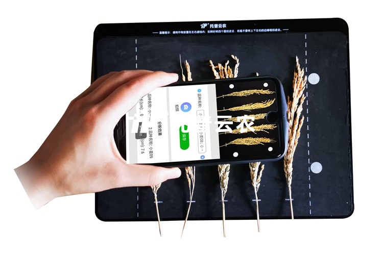 稻穗形態(tài)測量儀