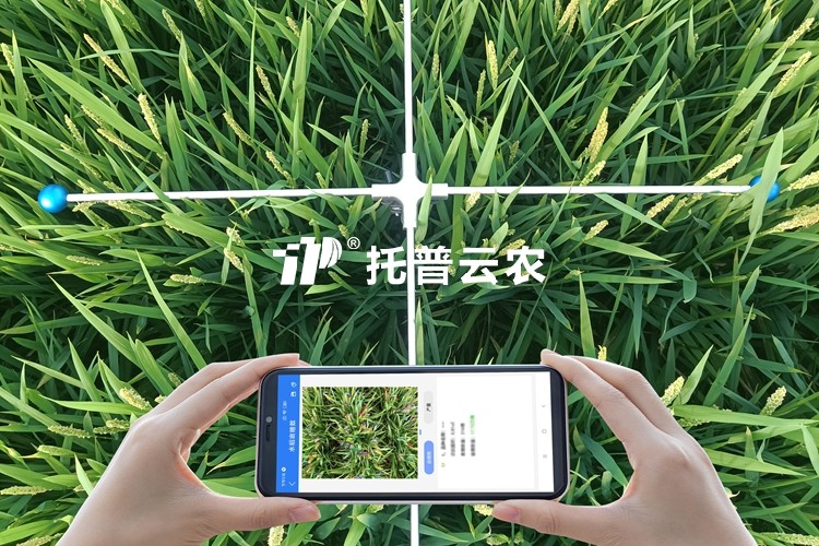 水稻畝穗數(shù)測量系統(tǒng)