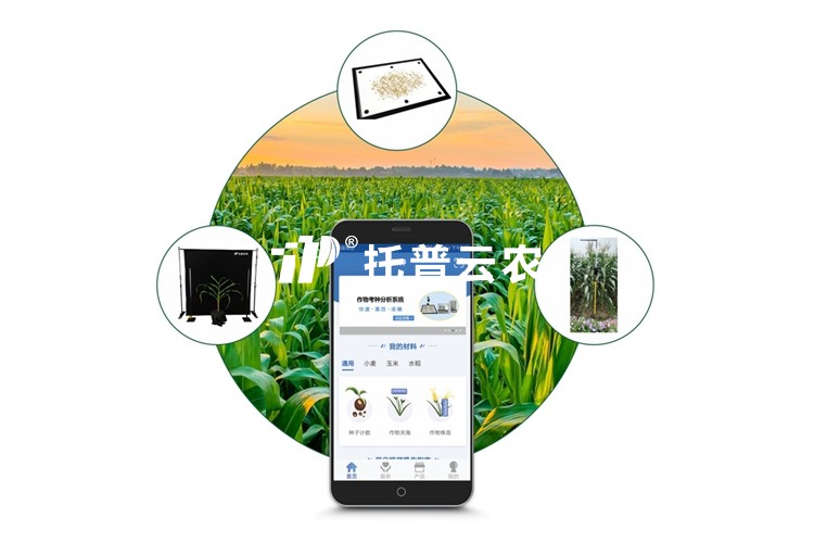 玉米表型檢測系統(tǒng)