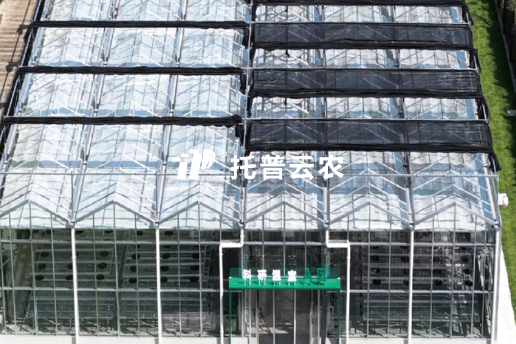 溫室型人工氣候室