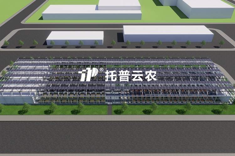 溫室型植物工廠