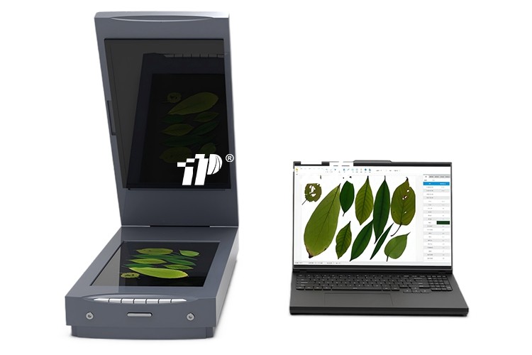 葉面積分析系統(tǒng)